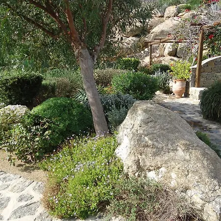 ناما