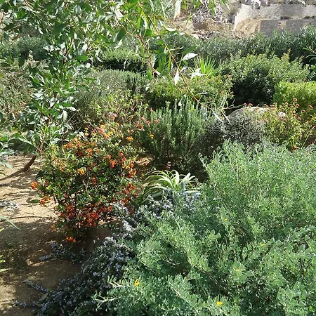 فيلة ناما